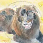 Watermarked Sample Image