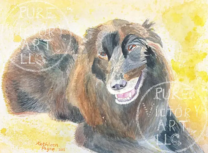 Beautiful Heart:  Watercolor painting of Newfoundland mixed breed dog.  Hand-painted on 300 lb, 100% cotton, acid-free, archival quality, cold press watercolor paper, with professional-grade watercolors.  Completed in April, 2025.
12x16 paper size