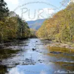 Watermarked Sample Image © Kathleen Victoria Payne [Pure Victory Art LLC]