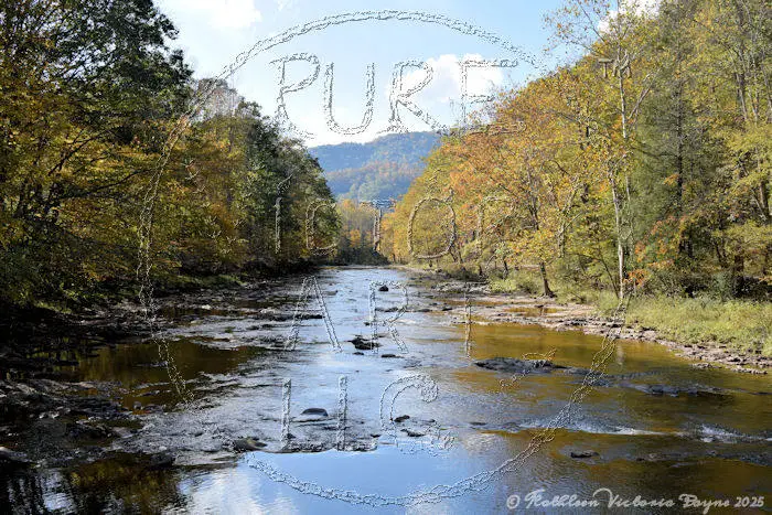 Watermarked Sample Image © Kathleen Victoria Payne [Pure Victory Art LLC]