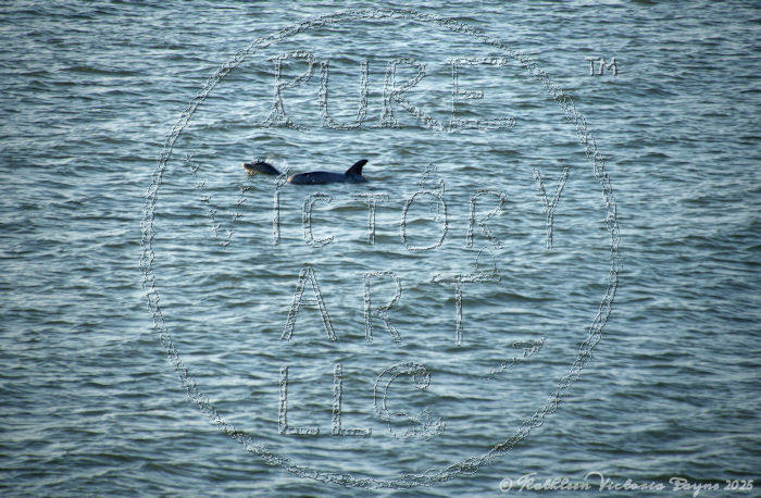 Watermarked Sample Image, © Kathleen Victoria Payne [Pure Victory Art LLC]