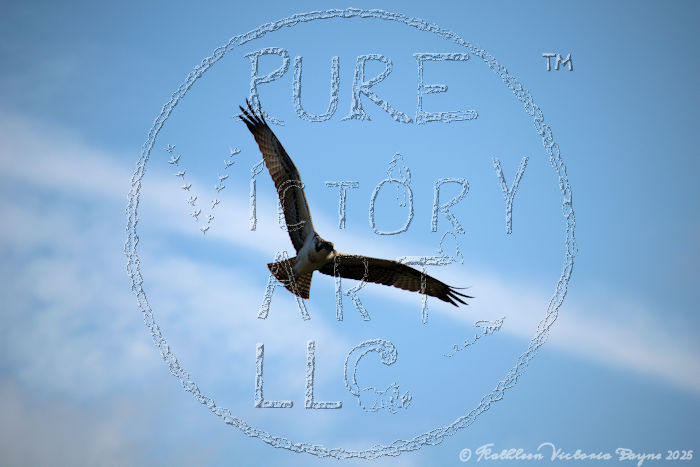 Watermarked Sample Image, © Kathleen Victoria Payne [Pure Victory Art LLC]