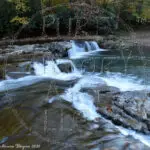 Watermarked Sample Image, © Kathleen Victoria Payne [Pure Victory Art LLC]