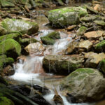 Watermarked Sample Image, © Kathleen Victoria Payne [Pure Victory Art LLC]