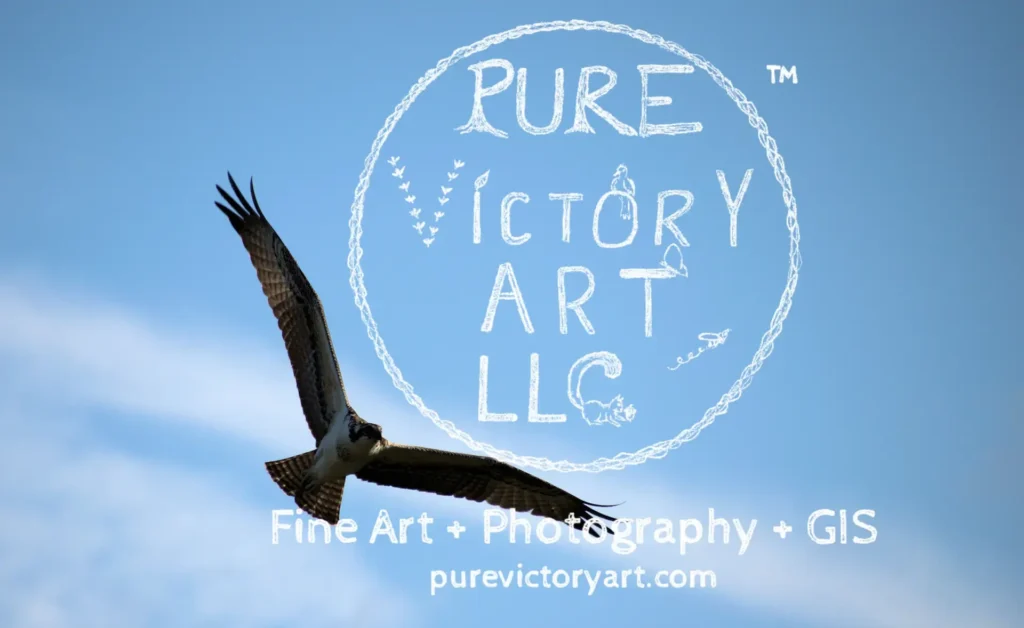 Pure Victory Art LLC Fine Art + Photography + GIS