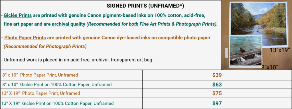 Prices for Signed Prints, Pure Victory Art LLC