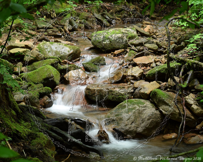 "Hidden Waterfall", photographed by Kathleen Victoria in Randolph County, WV. © Kathleen Victoria Payne