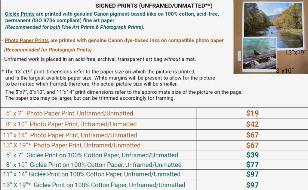Prices for Prints 10032026